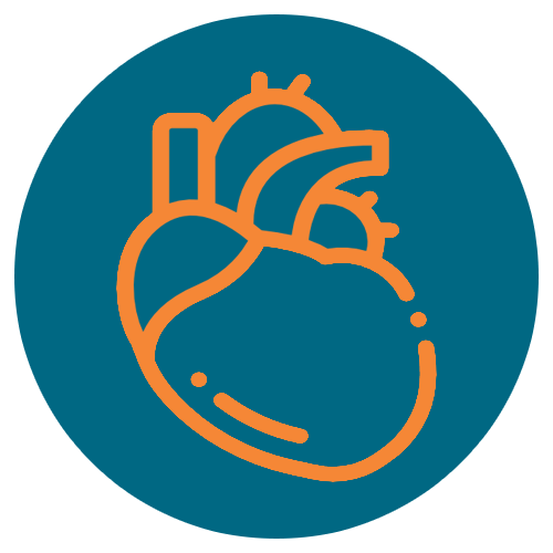 Cardiologist