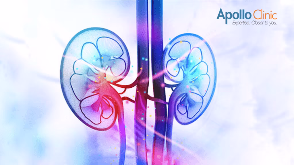 Nephrologist Vs Urologist