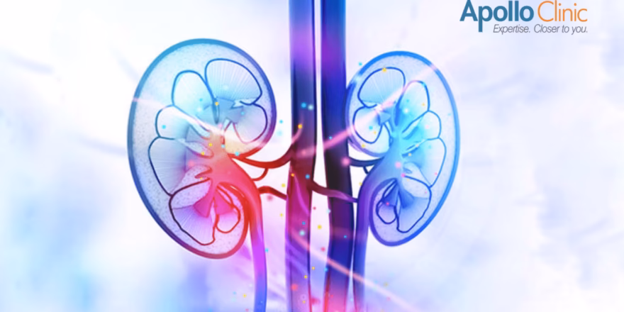 Nephrologist Vs Urologist