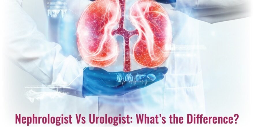 Nephrology Vs Urology: What's the Difference?