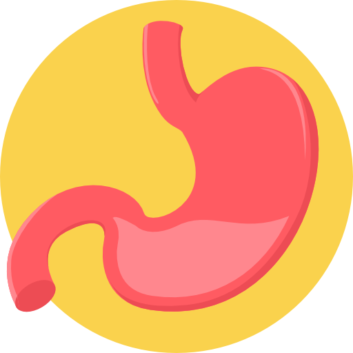 stomach image