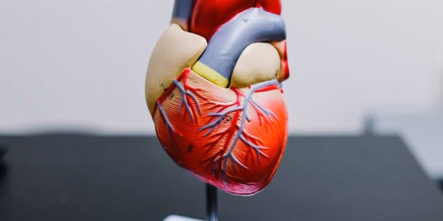 heart infection