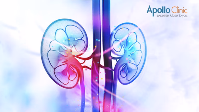 Nephrologist Vs Urologist