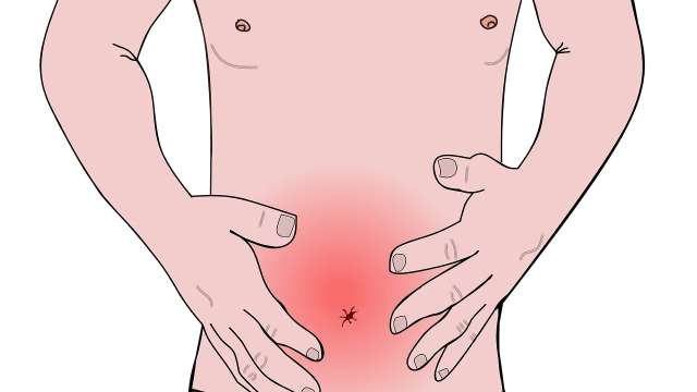 Stomach flu