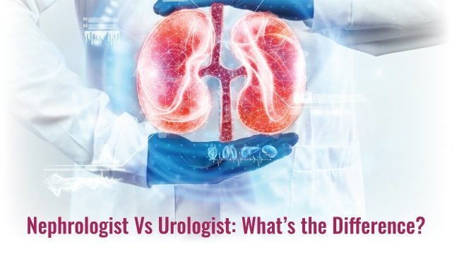 Nephrology Vs Urology: What's the Difference?