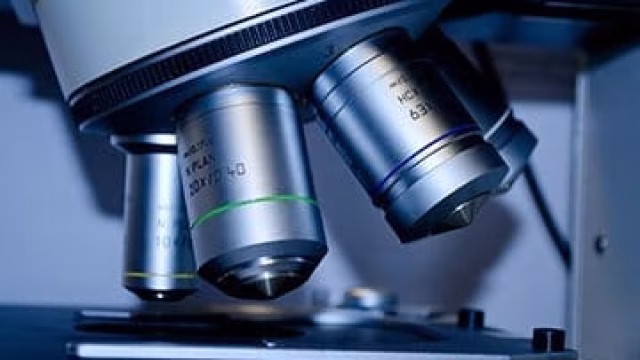 Apollo blood test