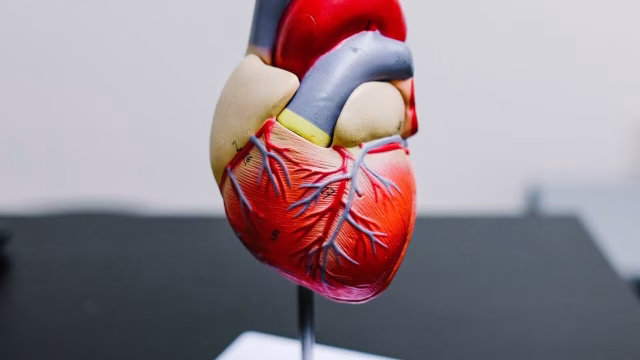 heart infection